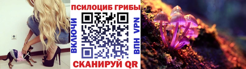 Галлюциногенные грибы мухоморы  даркнет Telegram  Урюпинск  omg сайт 